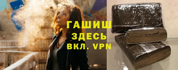 индика Верхний Тагил