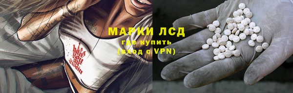 индика Верхний Тагил