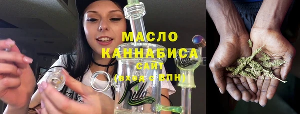 индика Верхний Тагил