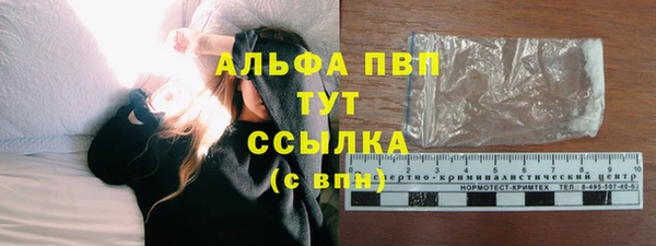 индика Верхний Тагил