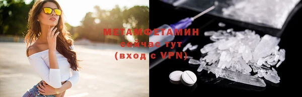 индика Верхний Тагил