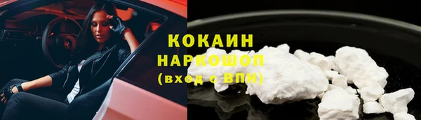 индика Верхний Тагил