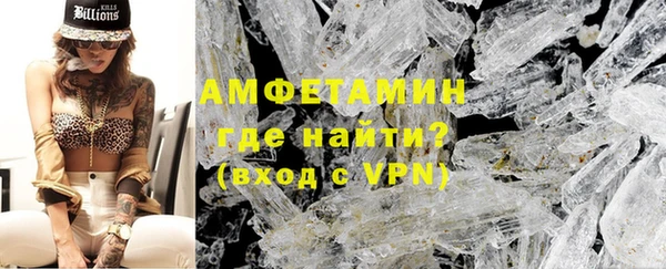 индика Верхний Тагил
