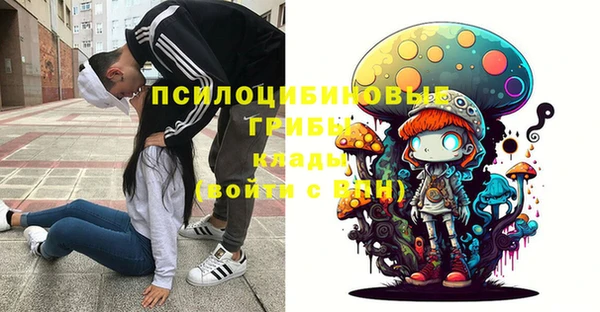 индика Верхний Тагил