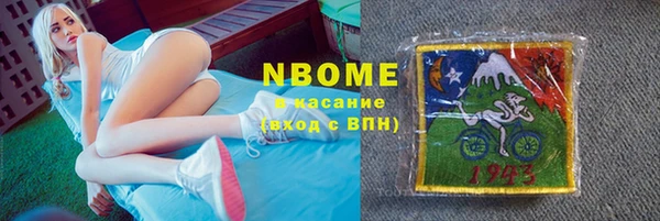 индика Верхний Тагил