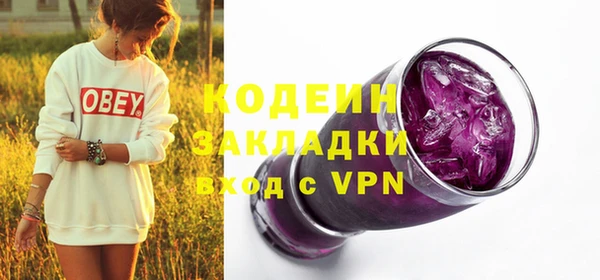 индика Верхний Тагил