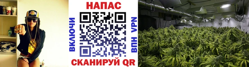 Шишки марихуана LSD WEED  Купить где  Курильск 